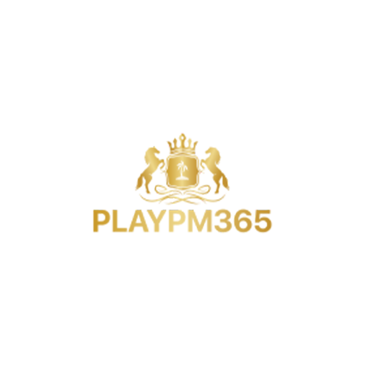 Play pm Logo
